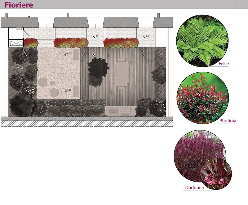 Progettazione Realizzazione Terrazzi E Giardini Vivaio Horti Di Veio Roma