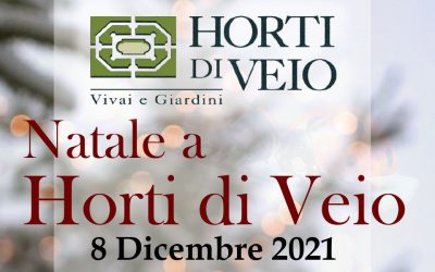 Annullata causa maltempo la Festa dell’8 Dicembre in Vivaio