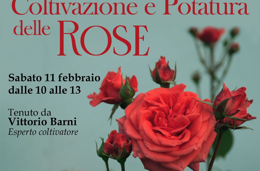 Corso di coltivazione e potatura delle rose con Vittorio Barni
