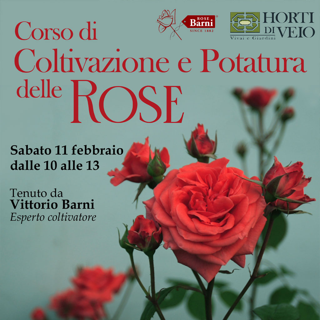 Corso di coltivazione e potatura delle rose con Vittorio Barni