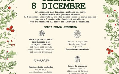 8 Dicembre da Horti di Veio