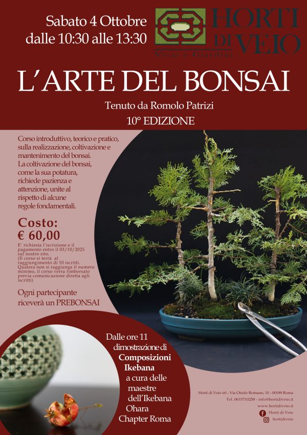 corso bonsai roma 2025 horti di veio