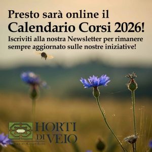 calendario corsi 2026