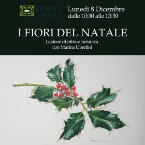 I Fiori del Natale: Lezione di Pittura Botanica