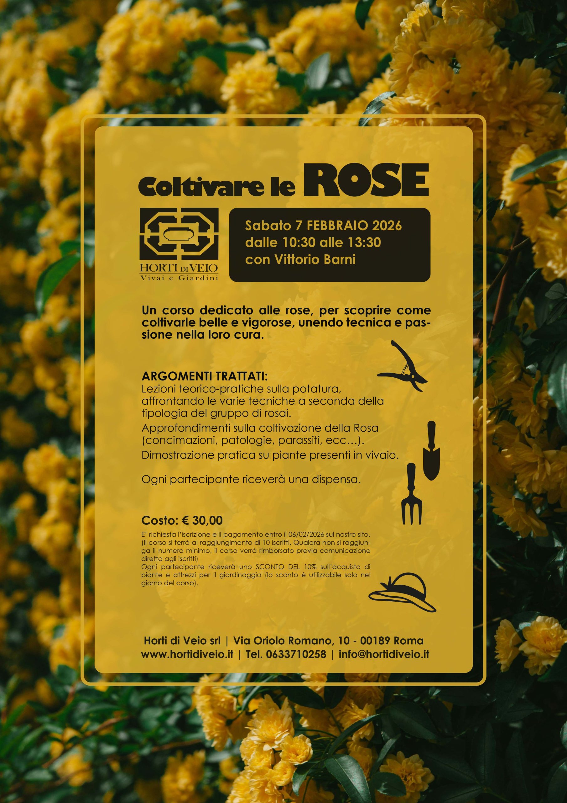 Coltivare le Rose - immagine 2