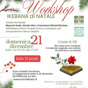 WORKSHOP IKEBANA DI NATALE