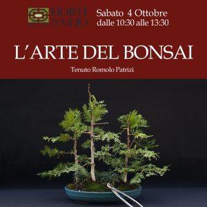 CORSO: L’ARTE DEL BONSAI