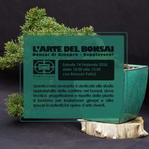 L’Arte del Bonsai – Livello avanzato