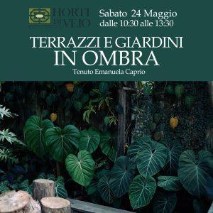 CORSO: TERRAZZI E GIARDINI IN OMBRA