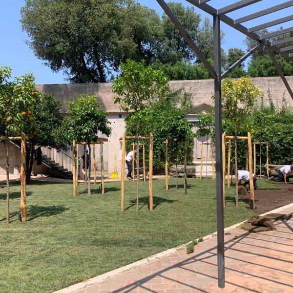Horti di veio prato