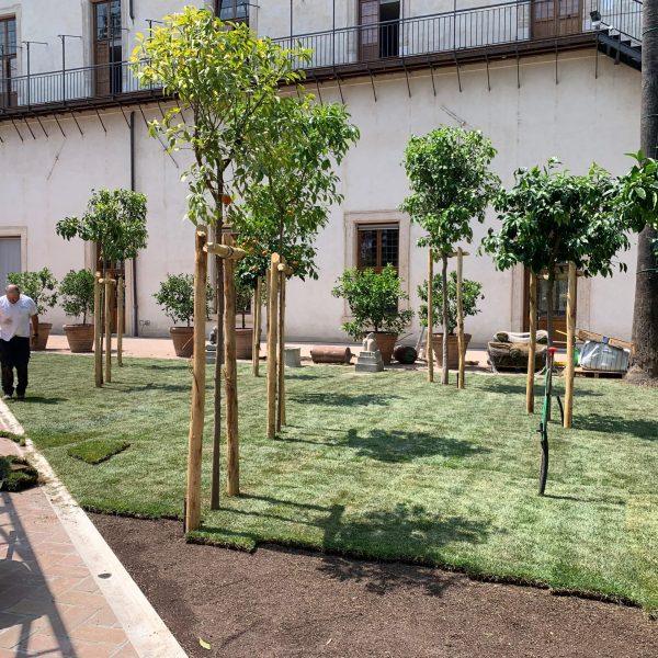 Horti di veio_prato a rotoli