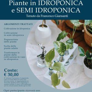 Corso: Piante in IDROPONICA e SEMI IDROPONICA