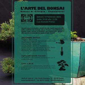 L’Arte del Bonsai – Livello avanzato