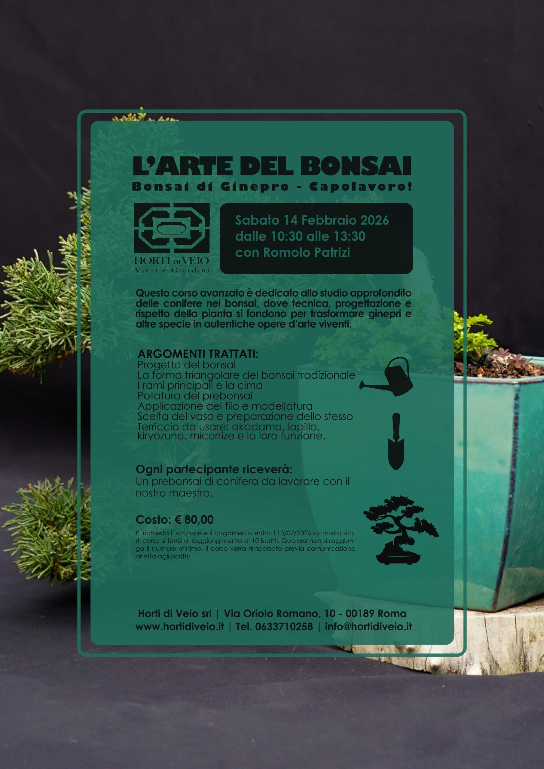 L'Arte del Bonsai - Livello avanzato - immagine 2