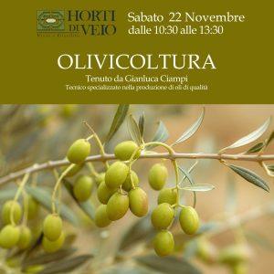 CORSO OLIVICOLTURA