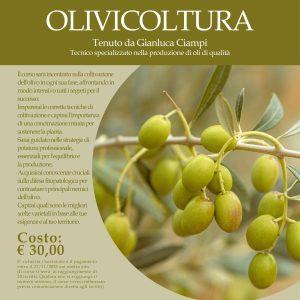 CORSO OLIVICOLTURA