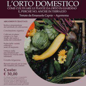 CORSO: L’ORTO DOMESTICO