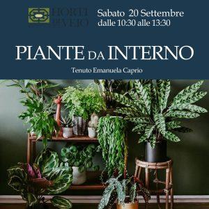 CORSO: PIANTE DA INTERNO