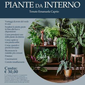 CORSO: PIANTE DA INTERNO