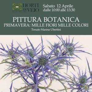 CORSO: PITTURA BOTANICA