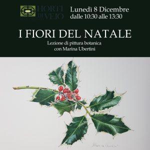 I FIORI DEL NATALE: LEZIONE DI PITTURA BOTANICA
