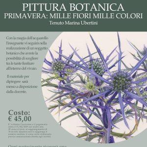 CORSO: PITTURA BOTANICA