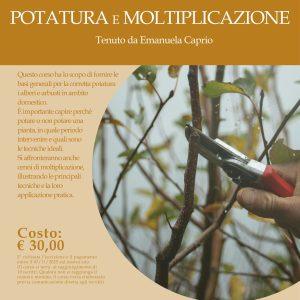 CORSO: POTATURA E MOLTIPLICAZIONE