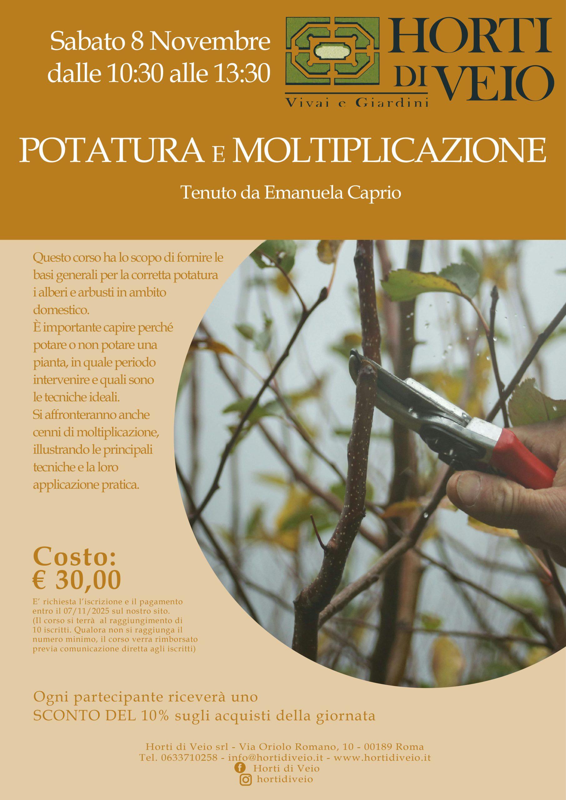 CORSO: POTATURA E MOLTIPLICAZIONE - immagine 2