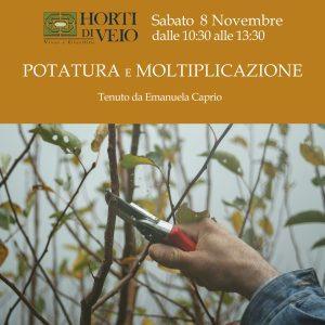 CORSO: POTATURA E MOLTIPLICAZIONE