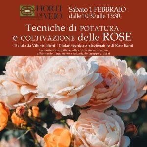 Corso: Tecniche di Potatura e Coltivazione delle ROSE