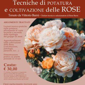 Corso: Tecniche di Potatura e Coltivazione delle ROSE