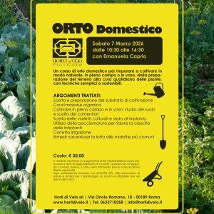 Orto domestico