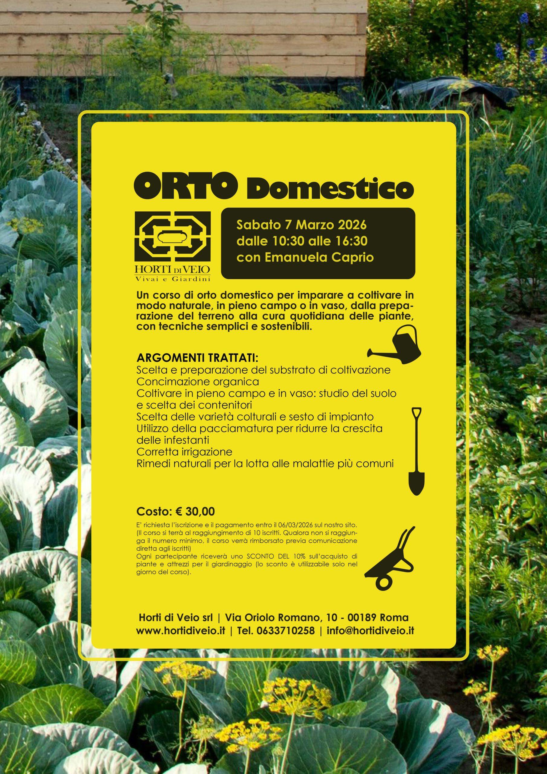 Orto domestico - immagine 2