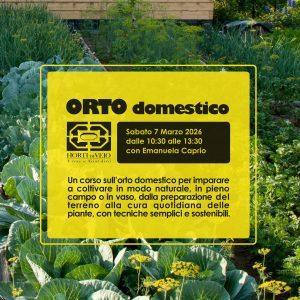 Orto domestico