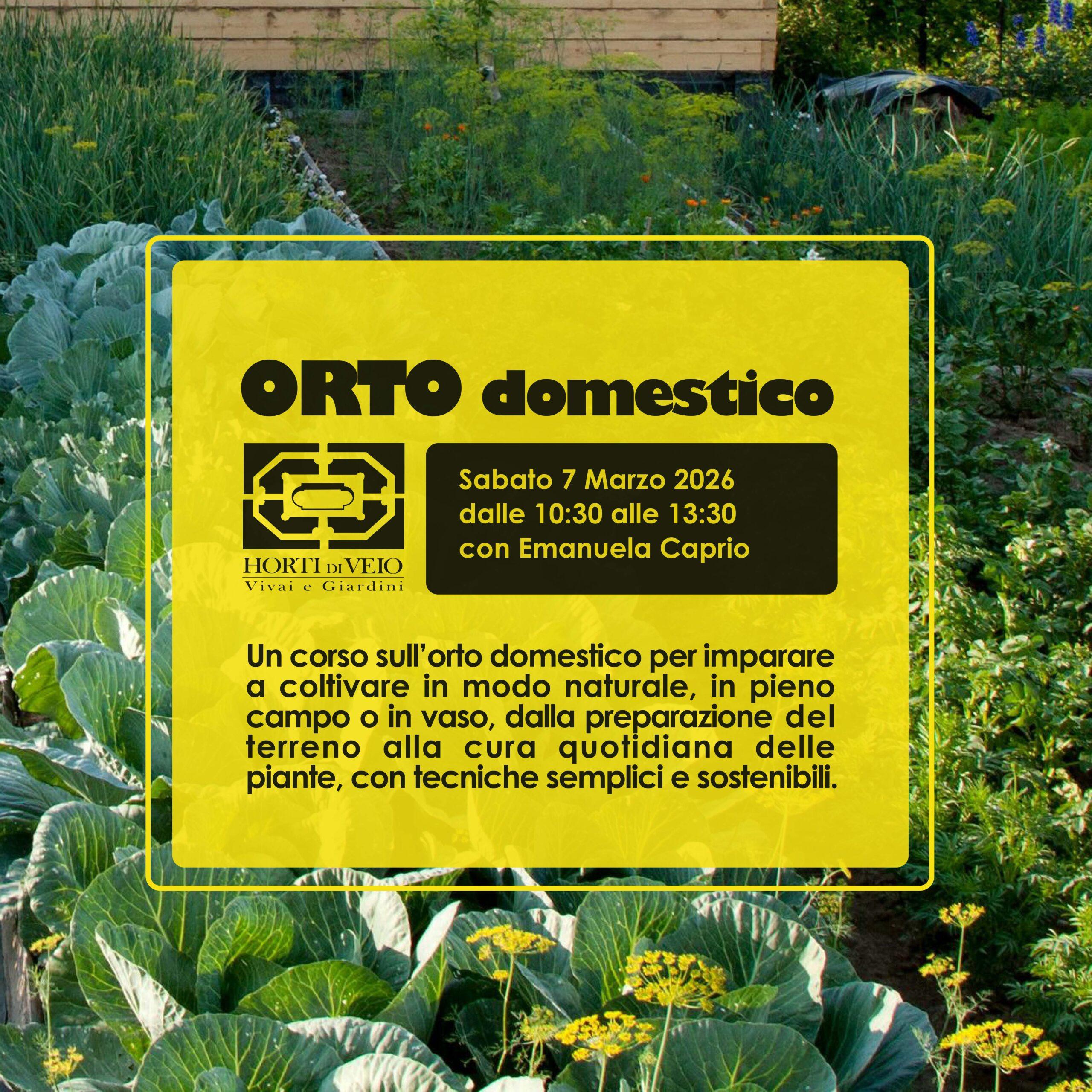 Orto domestico