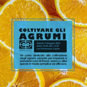 Coltivare gli Agrumi