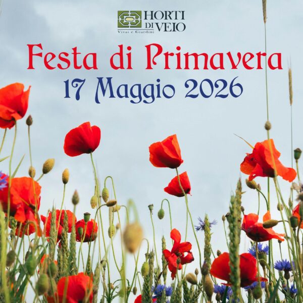 Festa di primavera 2026