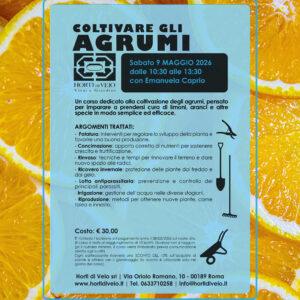 Coltivare gli Agrumi