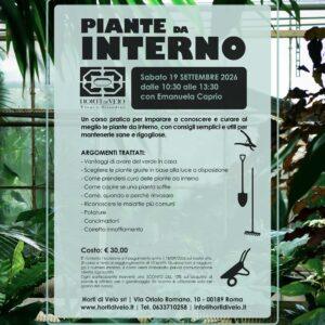 Piante da Interno