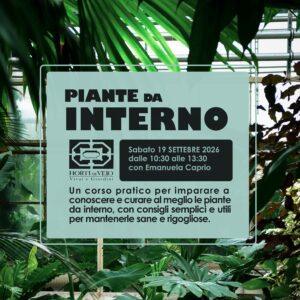 Piante da Interno