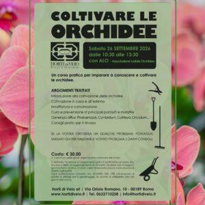 Coltivare le Orchidee