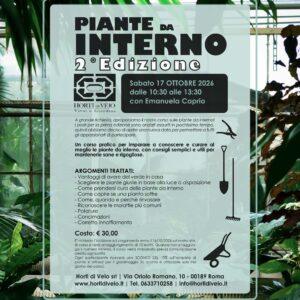 Piante da Interno – 2° EDIZIONE