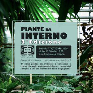 Piante da Interno – 2° EDIZIONE