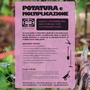 Potatura e Moltiplicazione