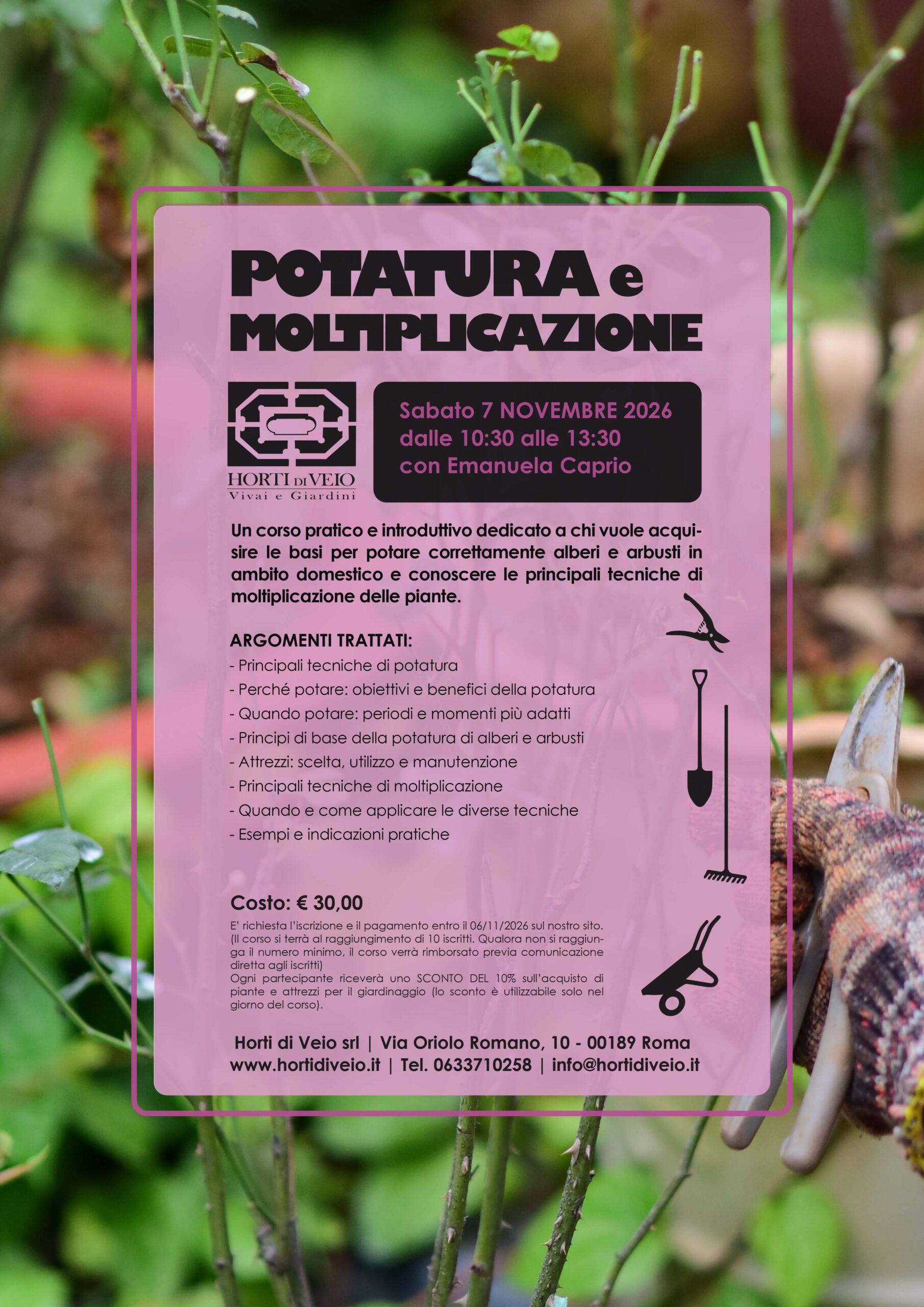 Potatura e Moltiplicazione - immagine 2