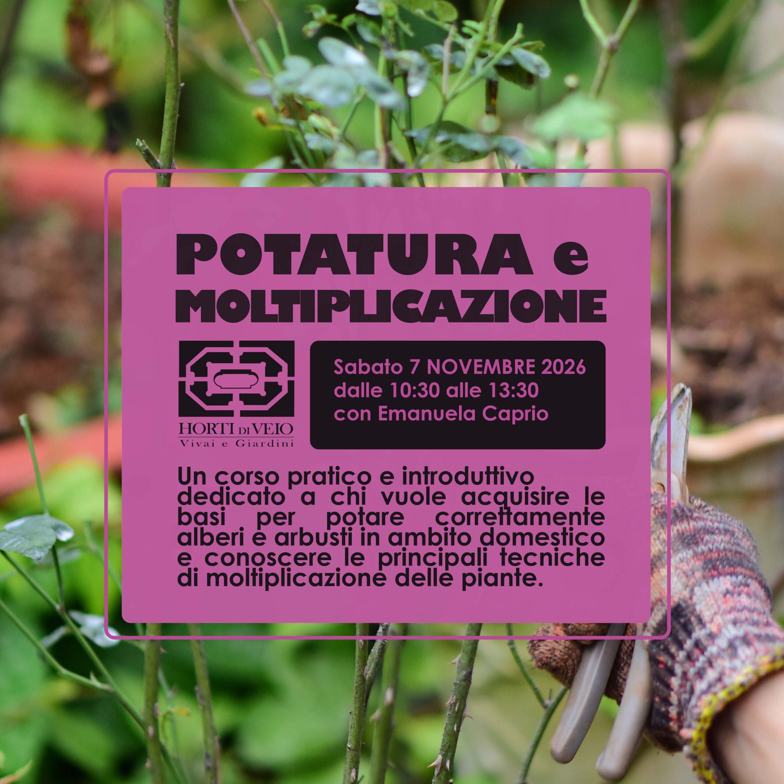 Potatura e Moltiplicazione
